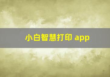 小白智慧打印 app